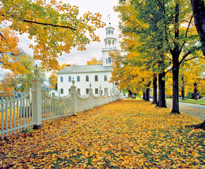 USA, Vermont, Bennington. Amidst fallen fall foliage stands this lovely white church in Bennington,...