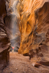 USA, Utah, Willis Creek. Woman hiker admiring slot canyon rock formations. 