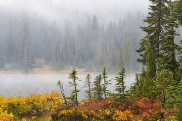 USA, Washington, Mount Rainier National Park, Reflection Lakes. View of trees and lake in mist. 