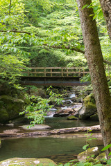 Fototapeta na wymiar Usa, North Carolina, Great Smoky Mountain National Park. Bridge over Big Creek