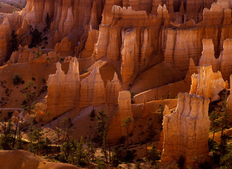 Sandstone hoodoos stand watch in spectacular Bryce Canyon National Park, Utah.