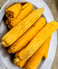 Boiled corn on an aluminum tray. Yellow boiled young corn, useful and tasty food