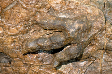 Dinosaur track in St. George Dinosaur Discovery Site, Utah, USA