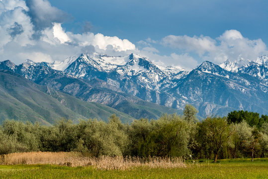 Fototapeta View of Wasatch Mountains from Wheeler Farm, Murray, Utah
