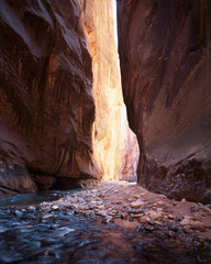 USA, Utah, View of Rock Canyon at Zion National Park