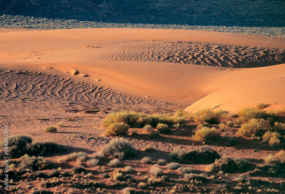 Sticker usa, utah, monument valley. sand dunes weave inbetween sagebrush in monument valley, navajo tribal p