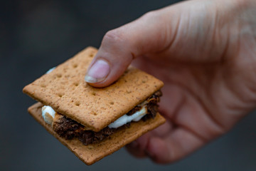 Handing holding a freshly made s'more