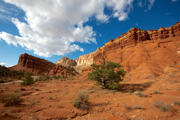 Capitol Reef rock formation, Capitol Reef National Park, Utah