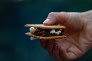 Handing holding a freshly made s'more