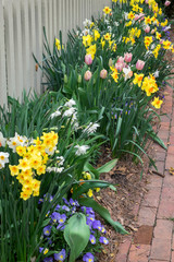 USA, Virginia, Williamsburg, spring border garden