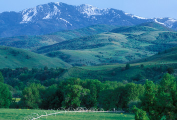 Utah. USA. James Peak, site of Powder Mountain Ski Resort, rises above irrigated pasture in Avon. Valley of South Fork Little Bear River.