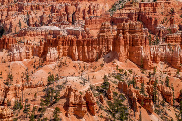 Bryce Canyon National Park, Utah, USA.