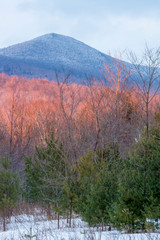 Winter in Vermont's Green Mountains. Shrewsbury. Jim Jeffords State Forest.