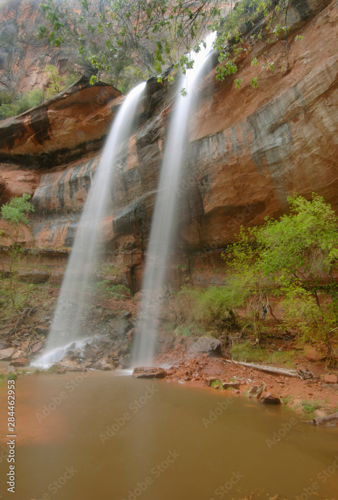 Sticker usa, utah, zion national park, lower emerald pool