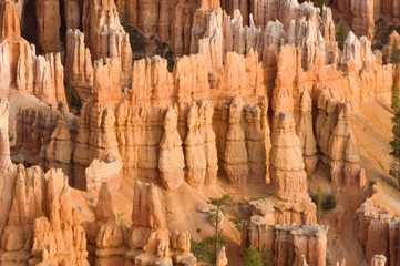 USA, Utah, Bryce Canyon NP, Bryce Point