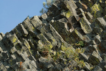 US: WAshington, Columbia River Basin, geology east of Chief Joseph's Dam, columnar basaltic rock