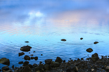 Bremerton, Washington State. Circular pastel rings ripple on the water next to a rock beach along...