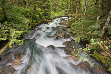 Naklejka na ściany i meble USA, Washington, North Cascades National Park. Water rushes down Cascade River. 