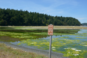 USA, Washington State. San Juan Islands, Lopez Island. Wildlife Habitat - Stay Out Of Marsh sign in front of the marsh. Spencer Spit