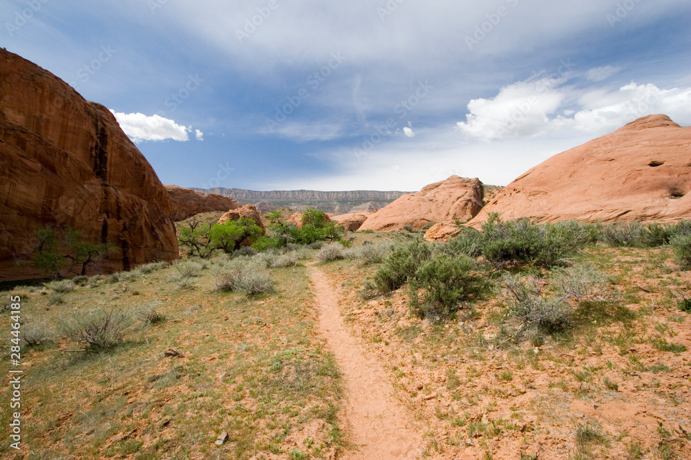 Sticker USA - Utah. Willow Gulch area off Hole-in-the-Rock Road in Grand Staircase - Escalante National Monument.