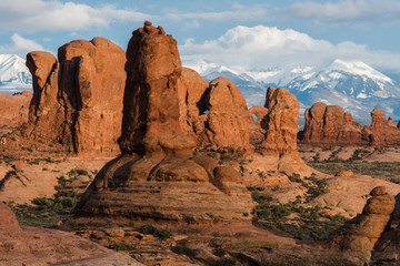 Fototapeta premium Utah. afternoon light illuminates red sandstone formations near the windows section in Arches National Park, with the snow-covered La Sal mountains in the background.