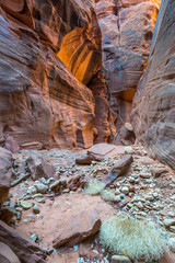Buckskin Slot Canyon Paria Canyon, Vermillion Cliffs Wilderness, Southern Utah