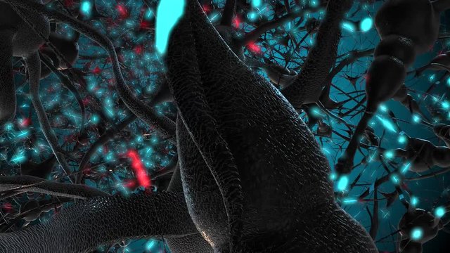 Brain disease Mental Illness neuron cells firing