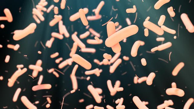 Bacteria Bacterium cell electron microscope close-up