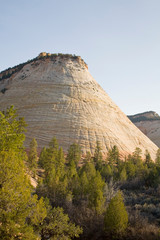 Obraz premium Utah, Zion National Park, Checkerboard Mesa, checkerboard pattern caused from blowing sand and freeze-thaw actions