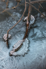 USA, Utah. Abstract lines formed in ice and tree branch frozen in the crystals along the Colorado River outside of Arches National Park