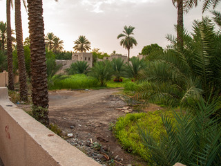 Paisajes en Nizwa, Oman