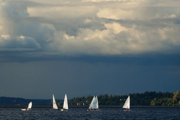 USA, Washington State, Bellevue. Marina and sailboats on Lake Washington.