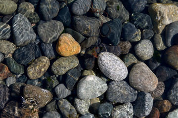 USA, Washington State. San Juan Islands, Sucia Island. Polished rocks under the water