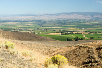 Fototapeta na wymiar Farmlands of the Columbia River Valley, Eastern Washington