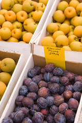 USA, Washington State, Seattle, Ballard Market, Organic Produce in Outdoor Sunday Market 