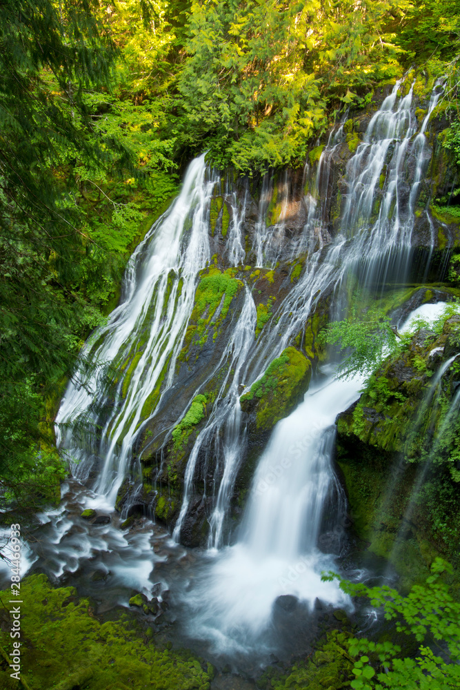 Poster Panther Creek Falls, Gifford-Pinchot National Forest, Carson, Washington, USA.