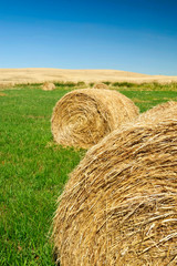 USA, Washington, The Palouse. Hay bales on a Palouse field.