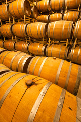 USA, Washington, Yakima Valley. Wine matures in the barrel room of an Eastern Washington winery.