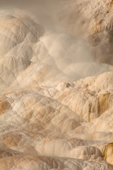 USA, Wyoming. Geothermal mineral deposit formations of Mammoth Hot Springs, Yellowstone National Park
