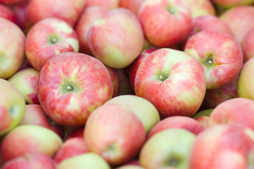 NA; USA; Washington; Lake Chelan; Honeycrisp apples (selective focus)