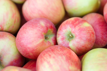 NA; USA; Washington; Lake Chelan; Honeycrisp apples (selective focus)