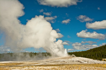 Old Faithful erupting, Yellowstone National Park, Wyoming, USA