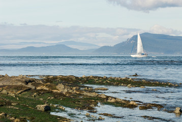 USA; WA; San Juan Islands; Sail boat underway in President Channel, Canada beyond.