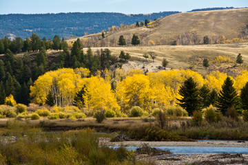 Autumn, Gros Ventre River, Grand Teton National Park, Wyoming, USA
