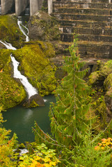 Naklejka na ściany i meble USA, WA, Olympic Peninsula, Elwha River. Lush area below Elwha River dam resembles ancient ruin. This dam approved for removal to restore historic salmon run and habitat