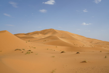 Fototapeta na wymiar Sahara desert in marocco