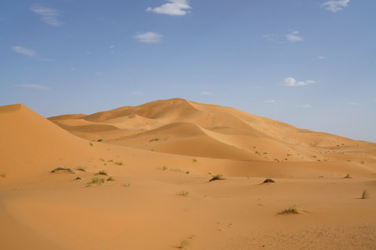Sahara desert in marocco © philipprothe