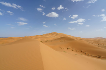Obraz na płótnie Canvas Sahara desert in marocco