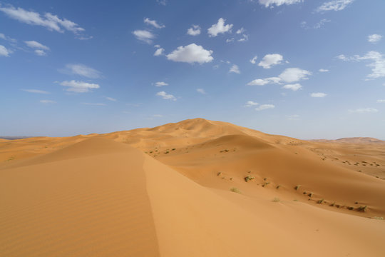 Sahara desert in marocco © philipprothe