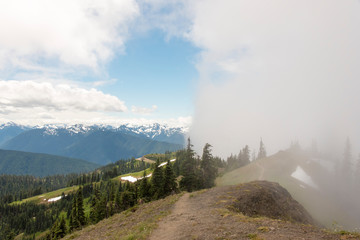 USA, Washington State, Olympic National Park Wall of fog Klahhane Ridge